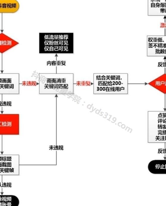 抖音基础教学干货9节视频教程，简单实用好上手