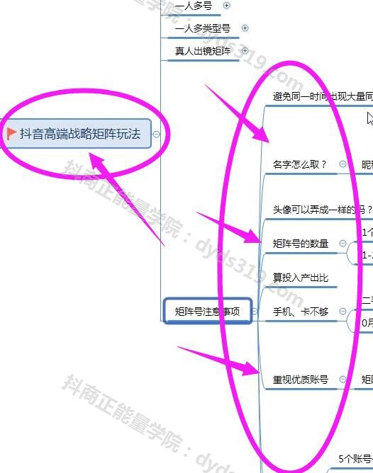 抖音高级运营推广和变现技巧，12节VIP大课