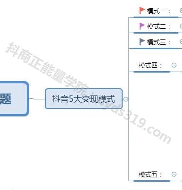 抖音高级运营推广和变现技巧，12节VIP大课