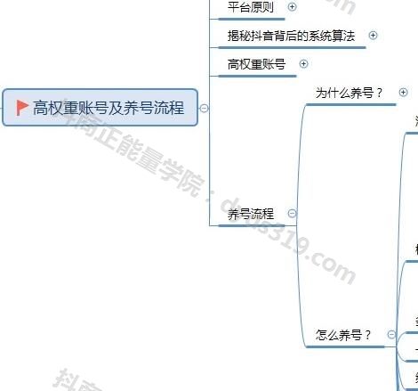 抖音高级运营推广和变现技巧，12节VIP大课