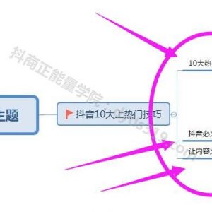 抖音高级运营推广和变现技巧，12节VIP大课